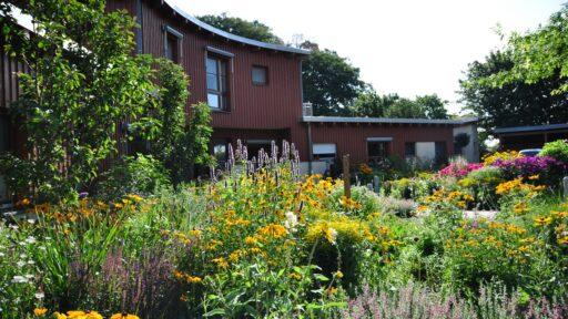 Der Eingang vom Kinderhospiz Löwenherz im Sommer