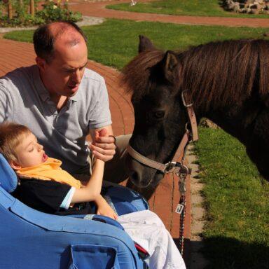 Ein Pferd zu Besuch im Kinderhospiz Löwenherz