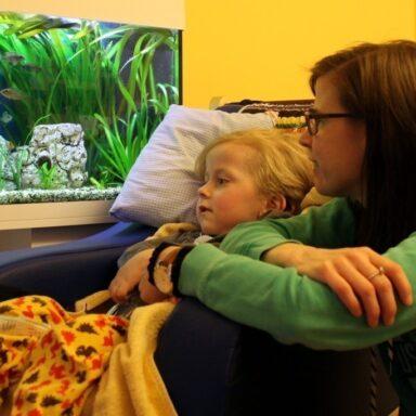 Das Aquarium im Kinderhospiz Löwenherz