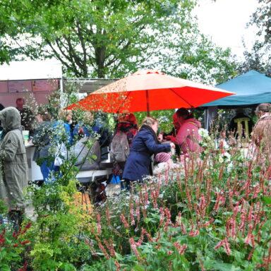 Tag der offenen Tür 2022 bei Löwenherz Bild 23